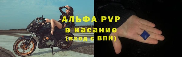 дживик Белокуриха